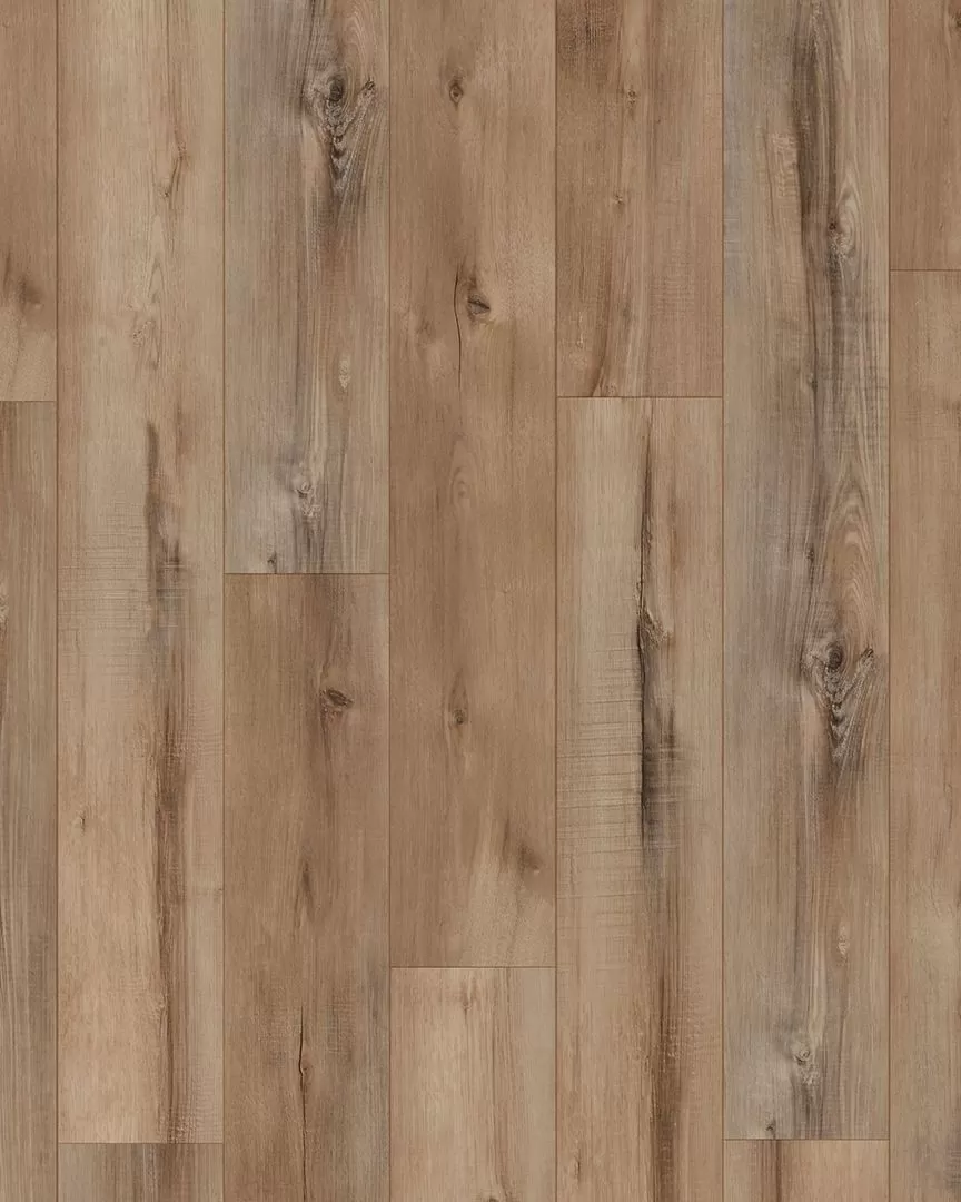 Coretec Portchester Oak - Luxury Vinyl | Carpet Exchange