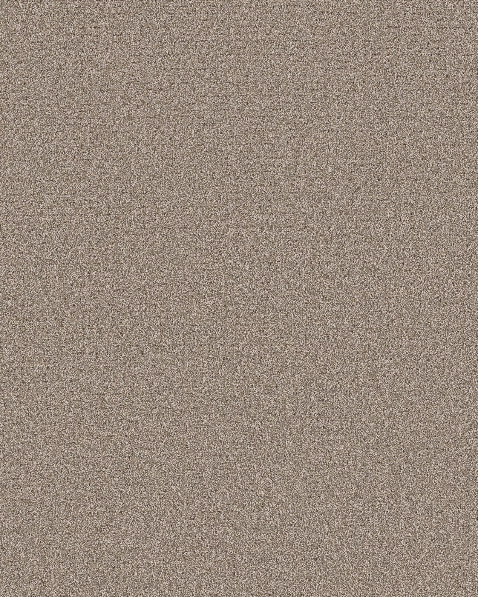 Peaceful Journey Mocha 48oz Pet Friendly Patterned Carpet