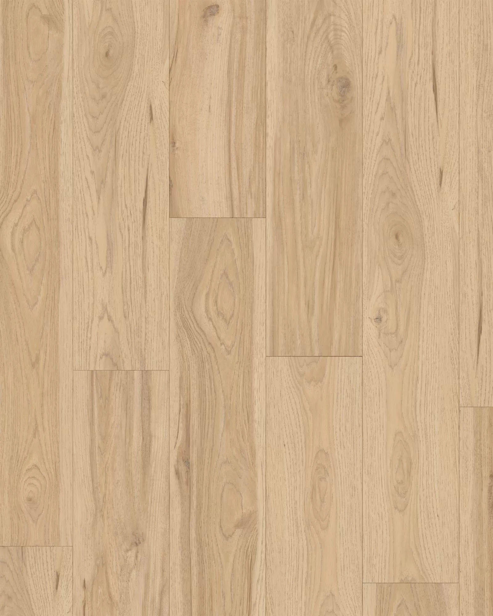 Adura Flex Preservation Fossil - LVP | Carpet Exchange