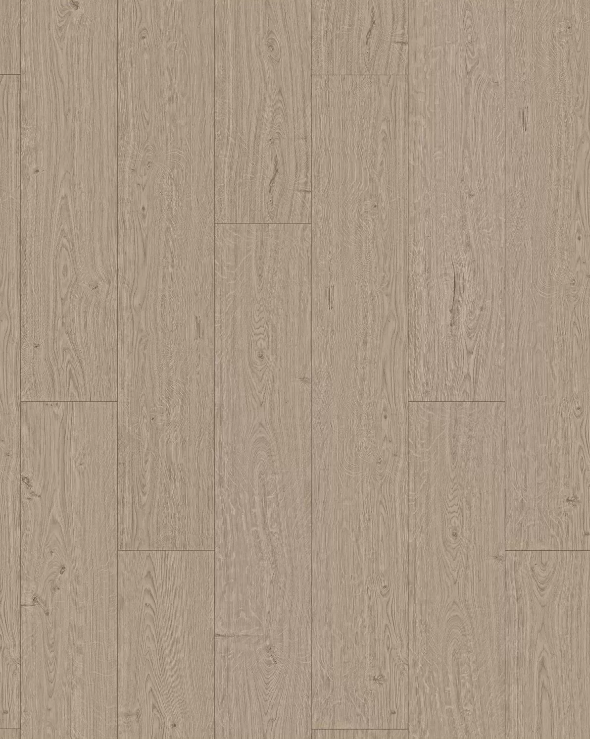 ムクムク Palm City Tranquil Fog Oak 8