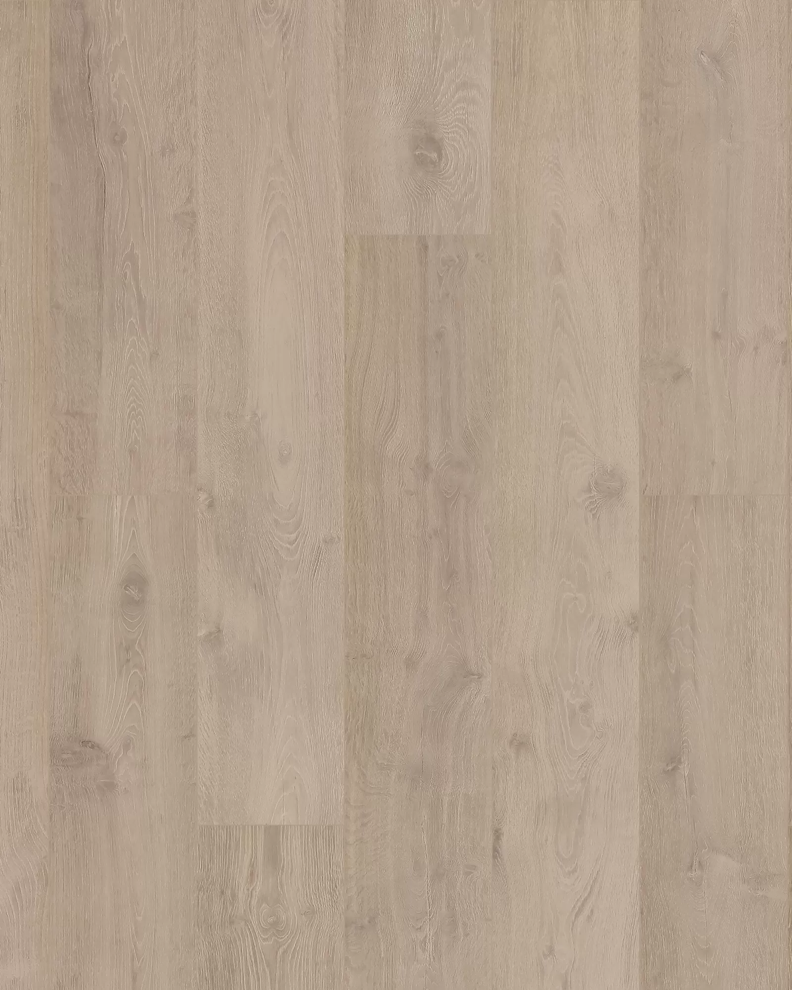 cocoストーングレージュ Chateau Leon Cathedral Taupe - Laminate | Carpet Exchange