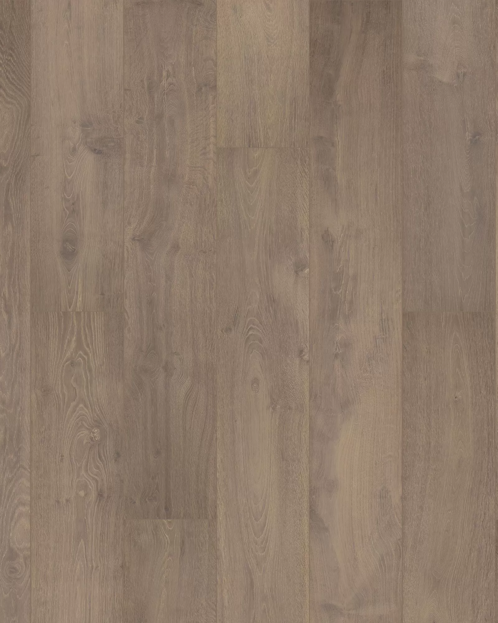 leonoah Chateau Leon Merino Wool Oak - Laminate | Carpet Exchange