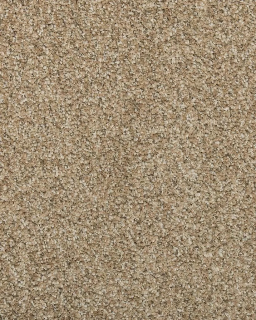 Mohawk SP905 Colorful Mix II 832 | Carpet Exchange