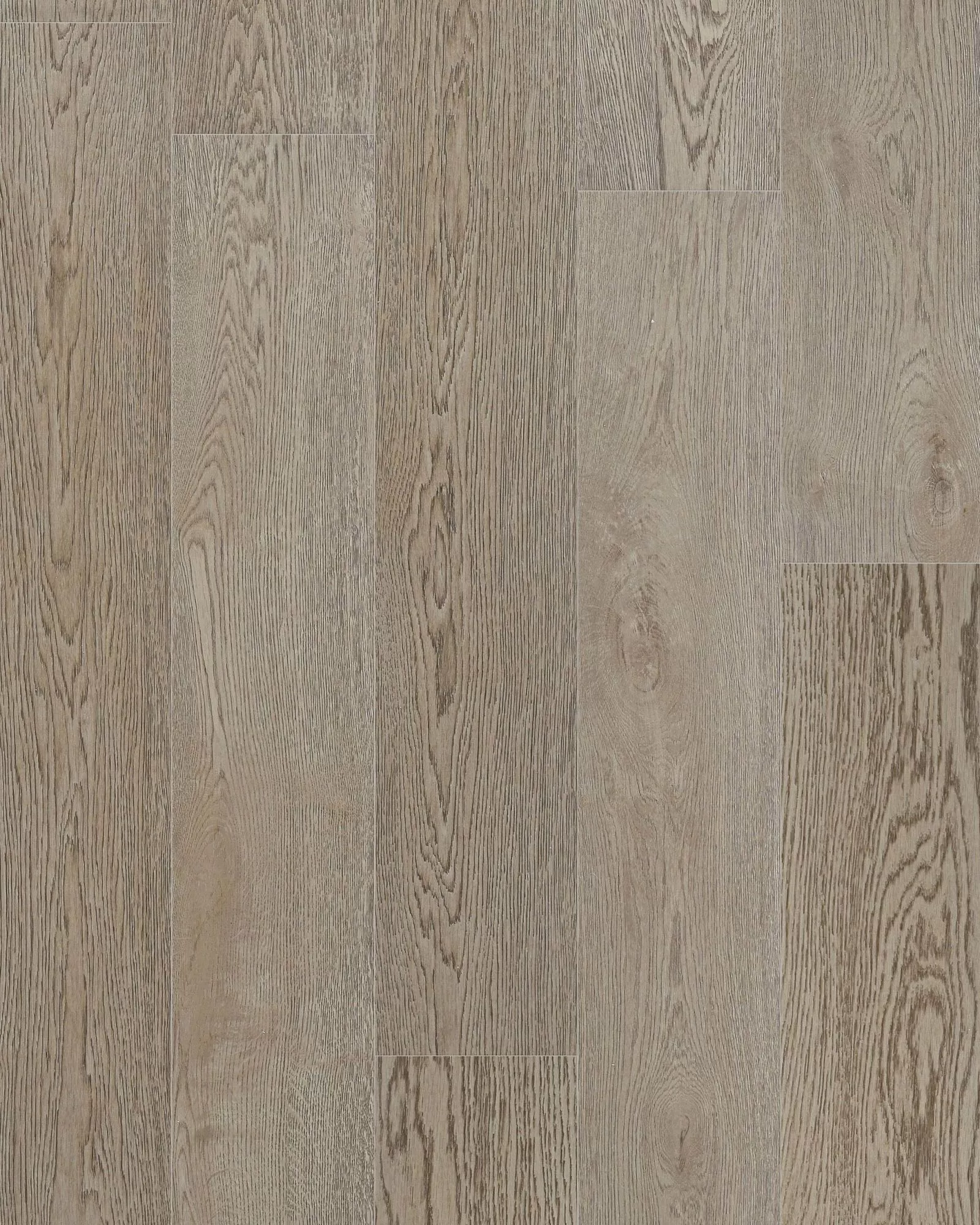 James Allan MVCF5293BN Brushed Nickel Randolph 20