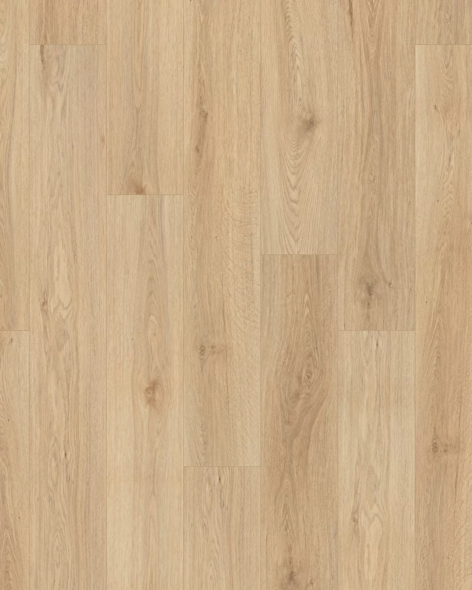 COREtec Pro Plus Springfield Oak | Carpet Exchange