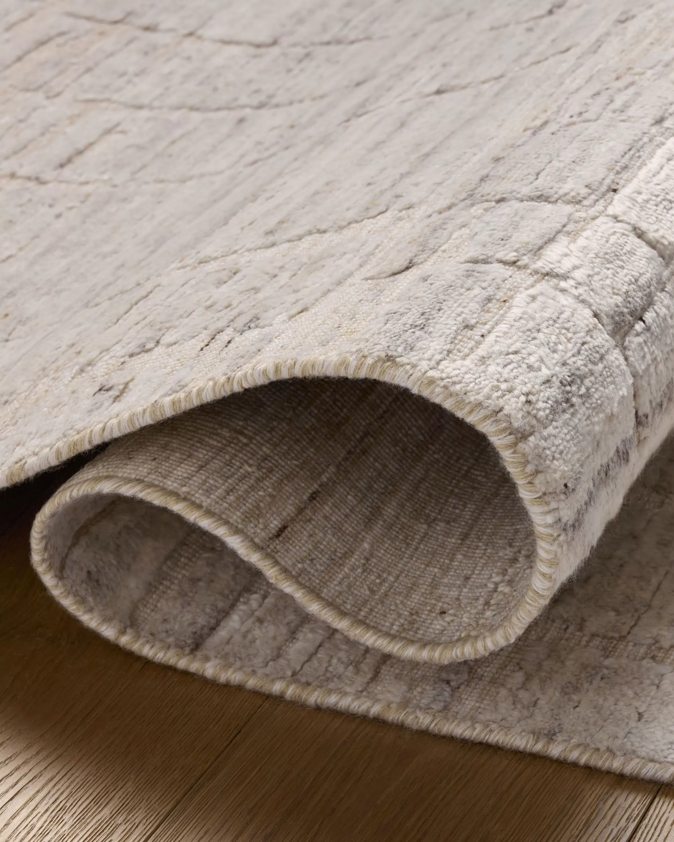 Loloi Daniel DAN-01 Antique Ivory Area Rug | Carpet Exchange