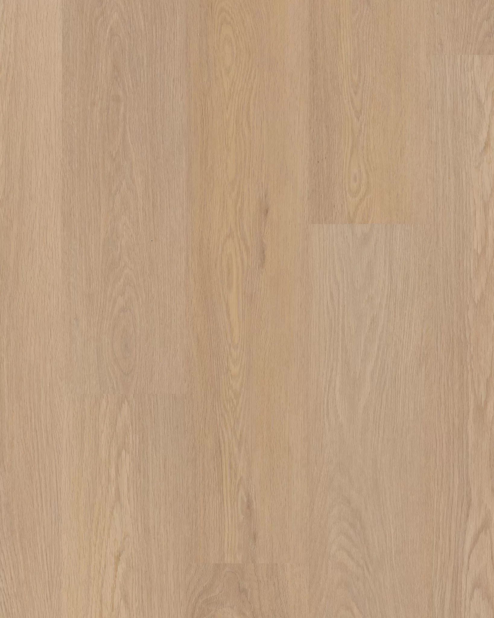 Shaw Distinction Plus Timeless Oak LVT | Carpet Exchange