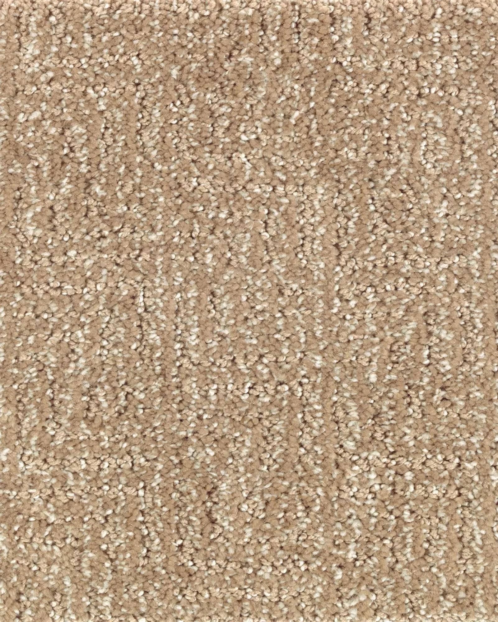 Distinctive Nature Spiced Tea Carpet