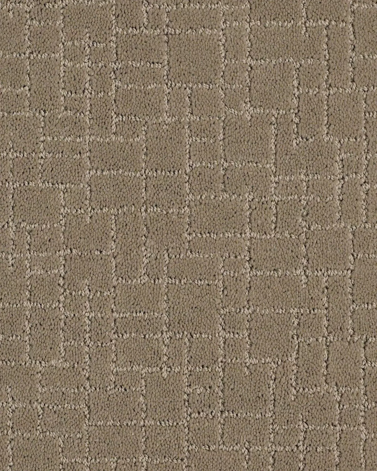 【受注生産品】 Paw Faux Tuftex Anderson Pet Exchange Carpet | Friendly バッグ