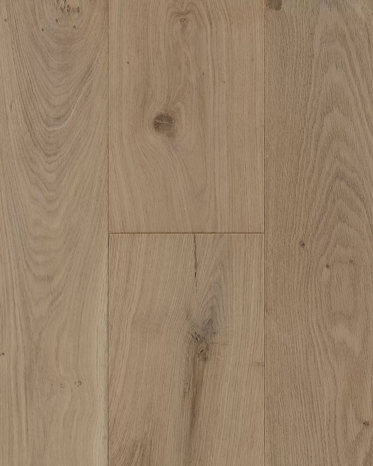 Nature's Canvas Gold Harbor Charm - Hardwood | Carpet Exchange