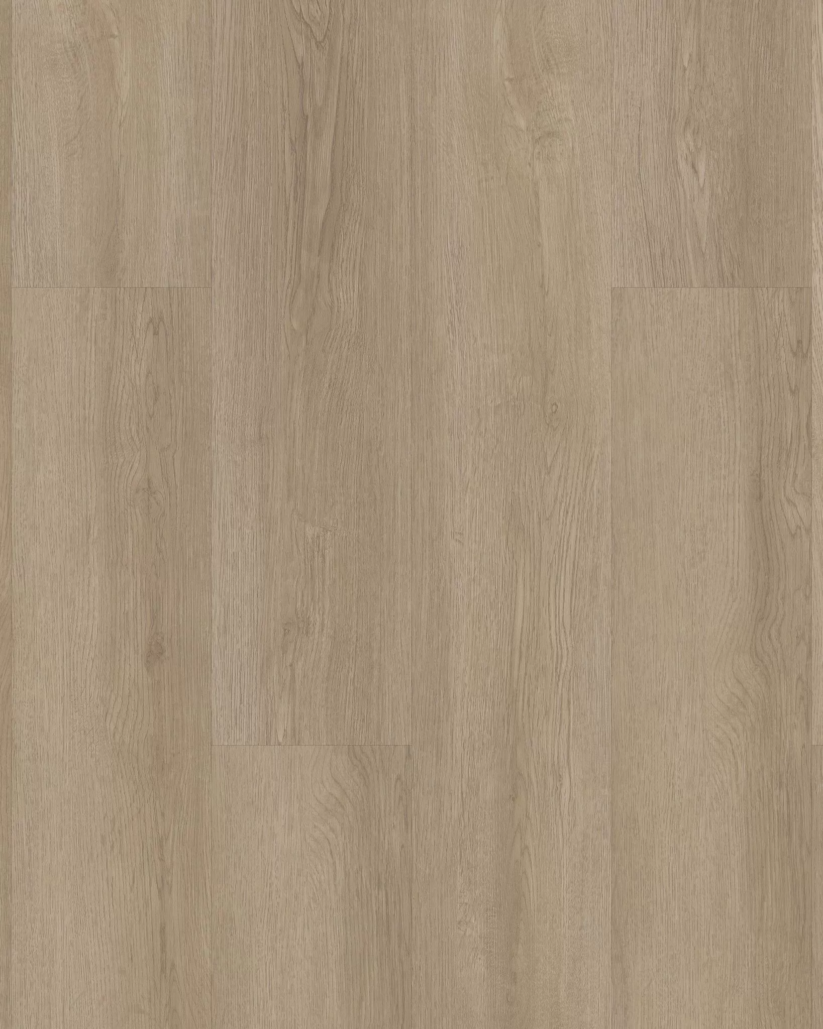 Infinite 8 Barley Field - Luxury Vinyl | Carpet Exchange