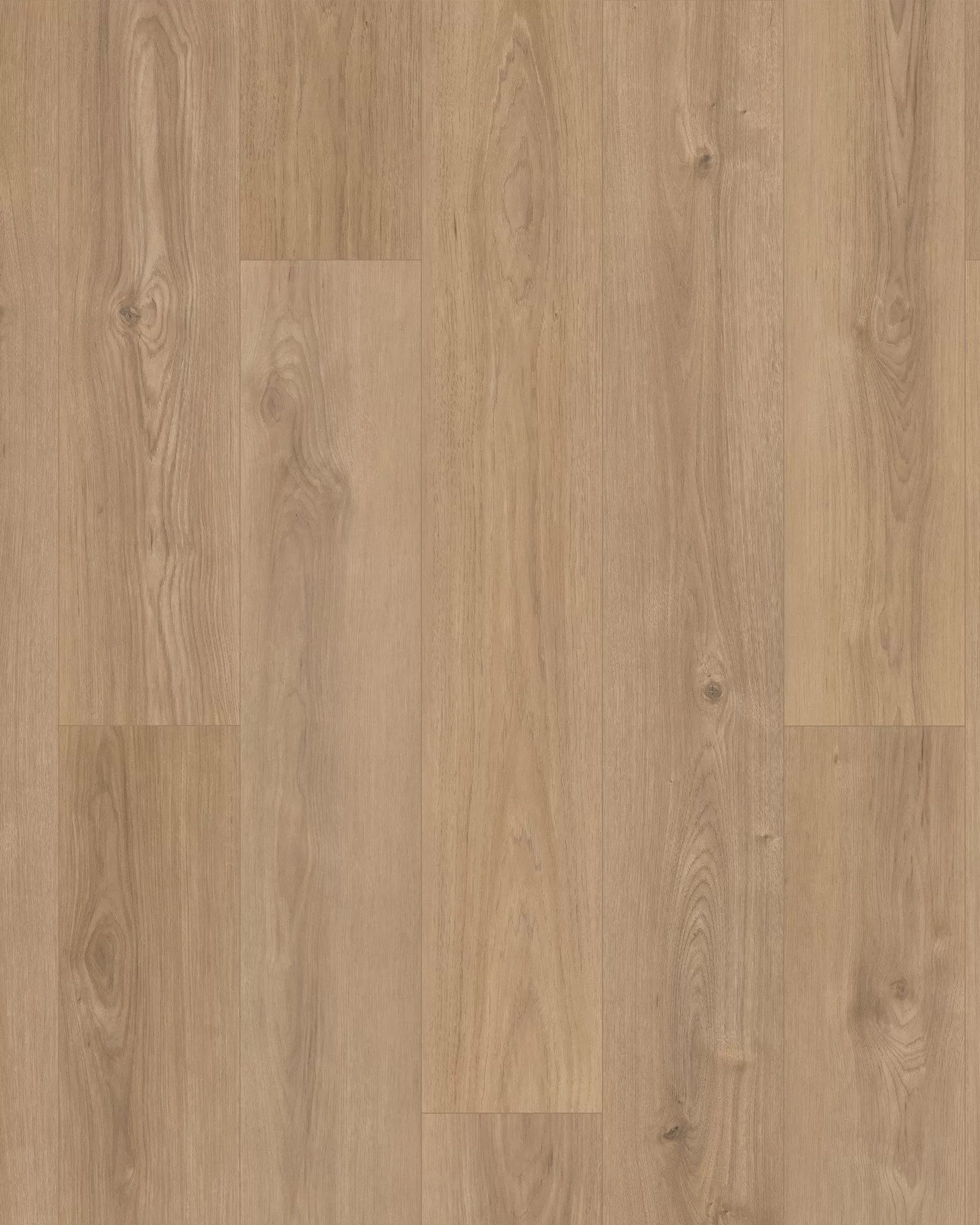 【年中無休】 Shores Windham Karastan Wincrest Exchange Carpet | Hickory その他