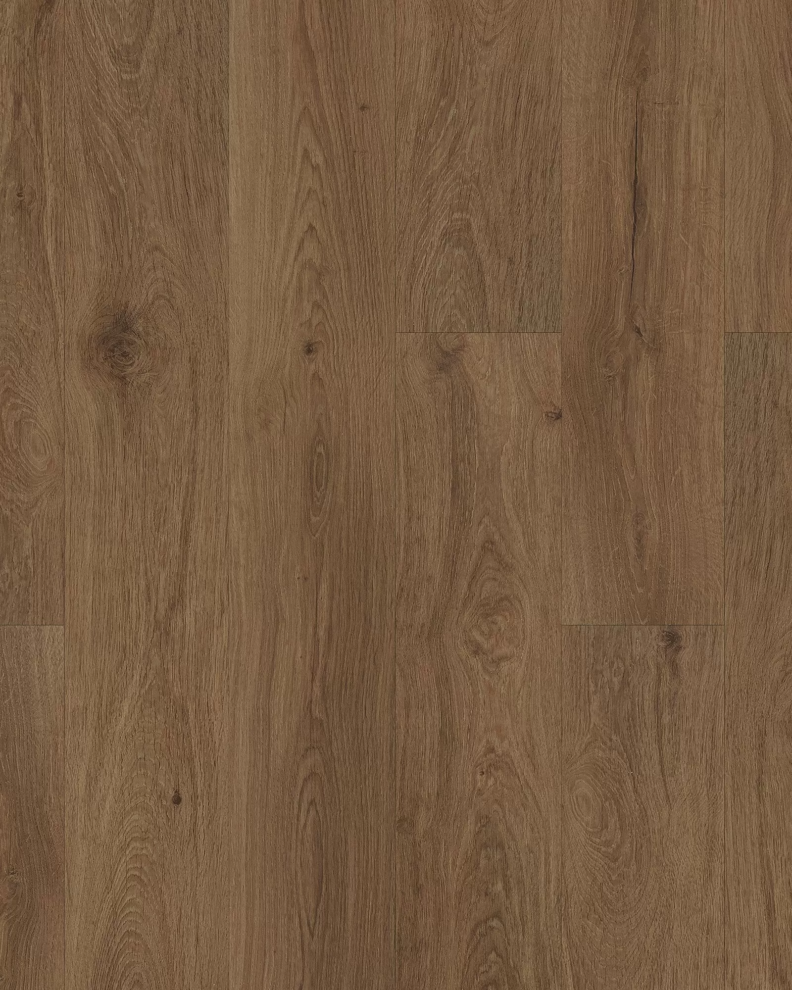 Karastan Sandalwood Grove Trinity Luxury Vinyl | Carpet Exchange