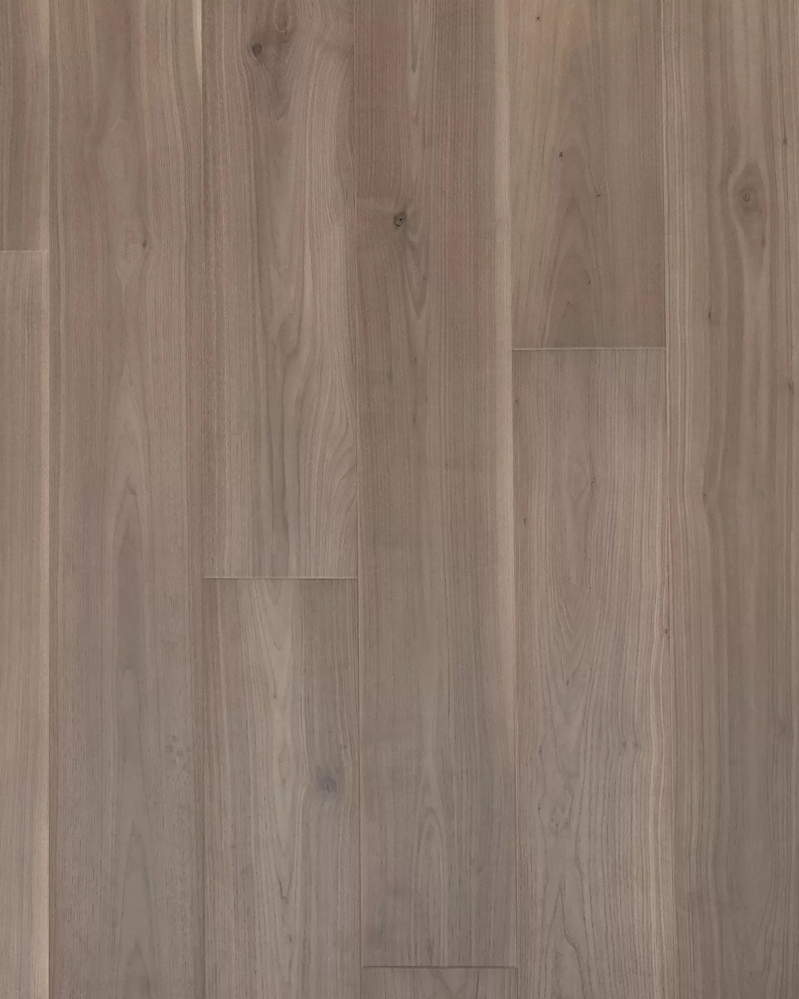 Karastan Danbury Alcove Rainfall Walnut | Carpet Exchange