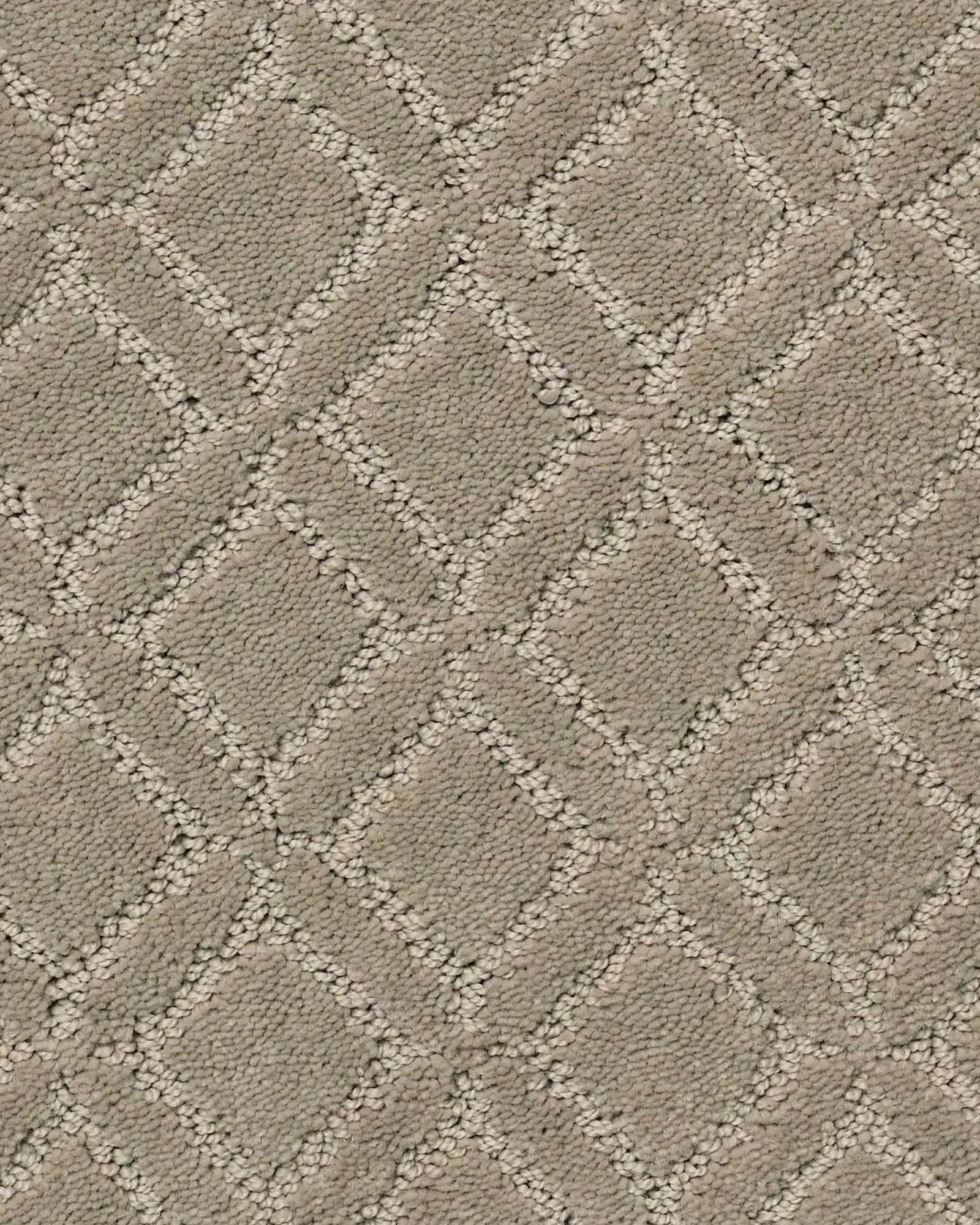 Anderson Tuftex ZZ078 Muse | Carpet Exchange