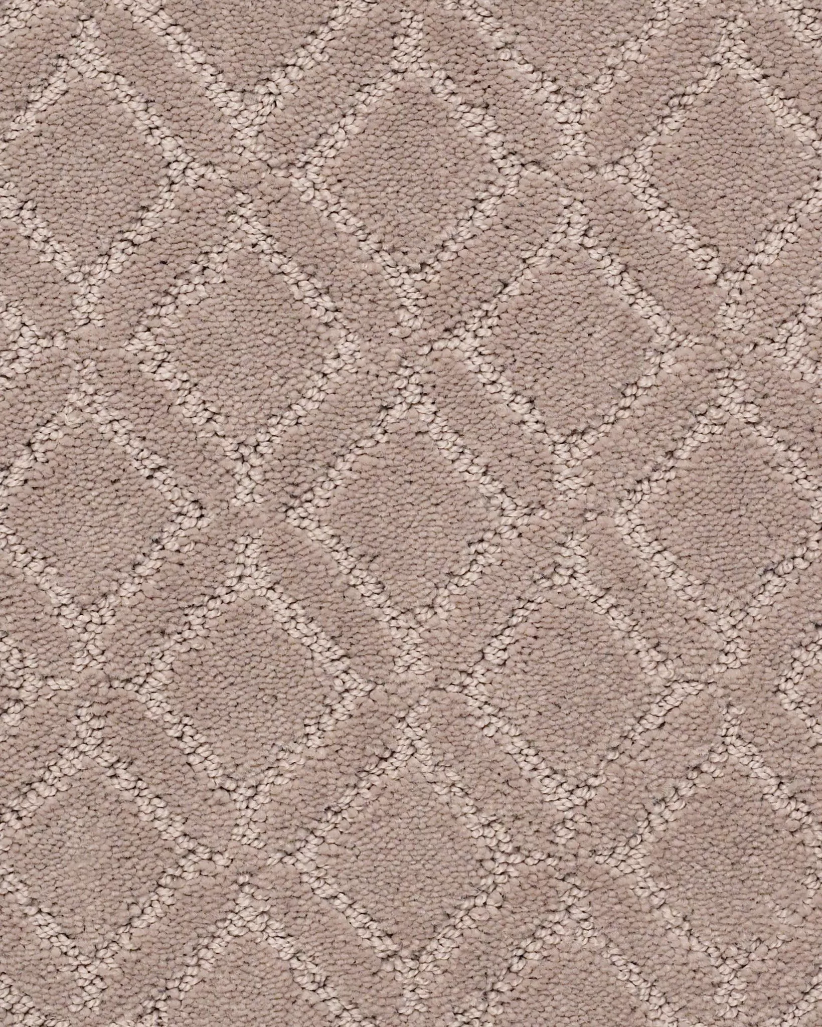 【現金特価】 Muse ZZ078 Tuftex Anderson | Exchange Carpet ジャケット・アウター