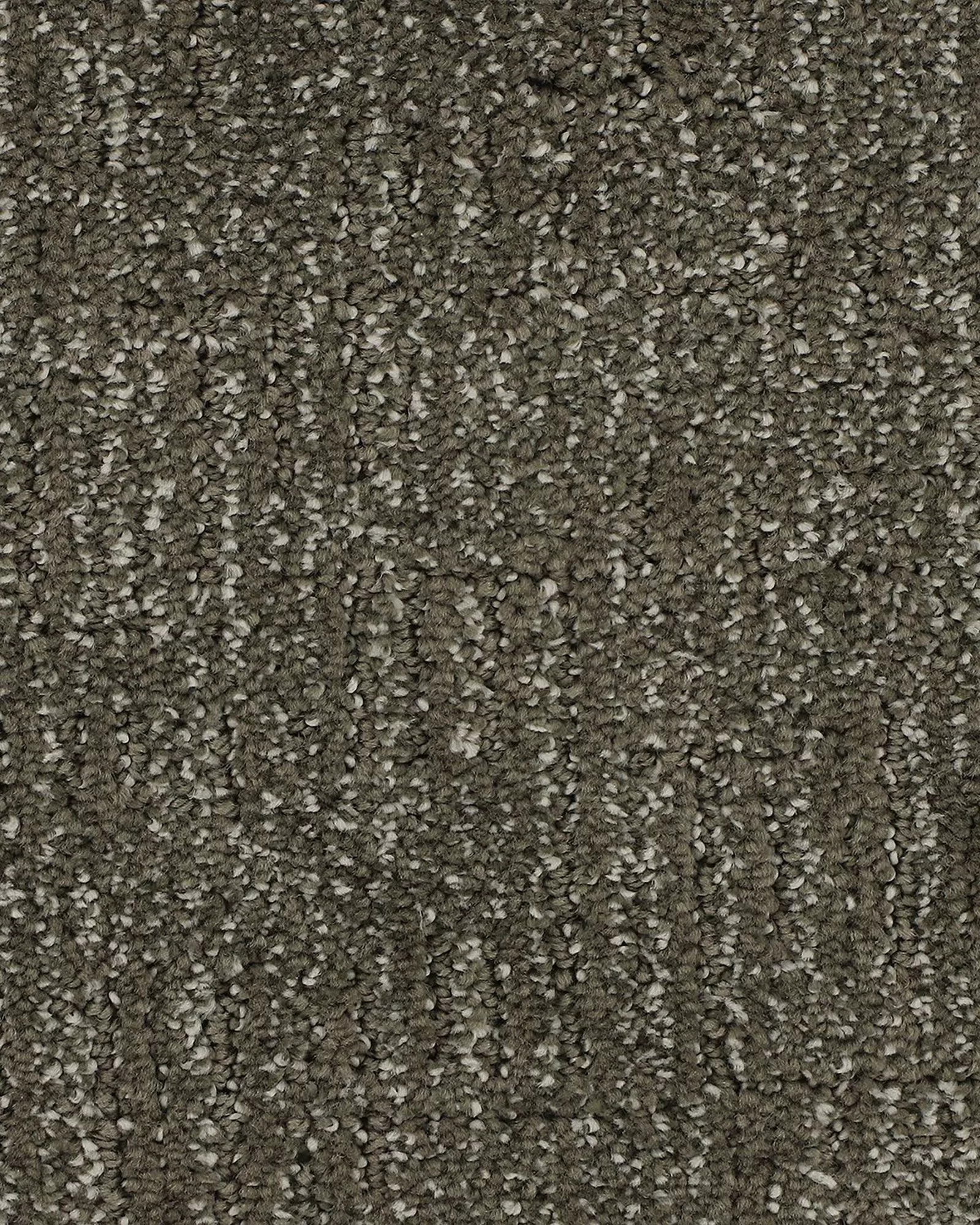 Natural Victory Truffle Carpet