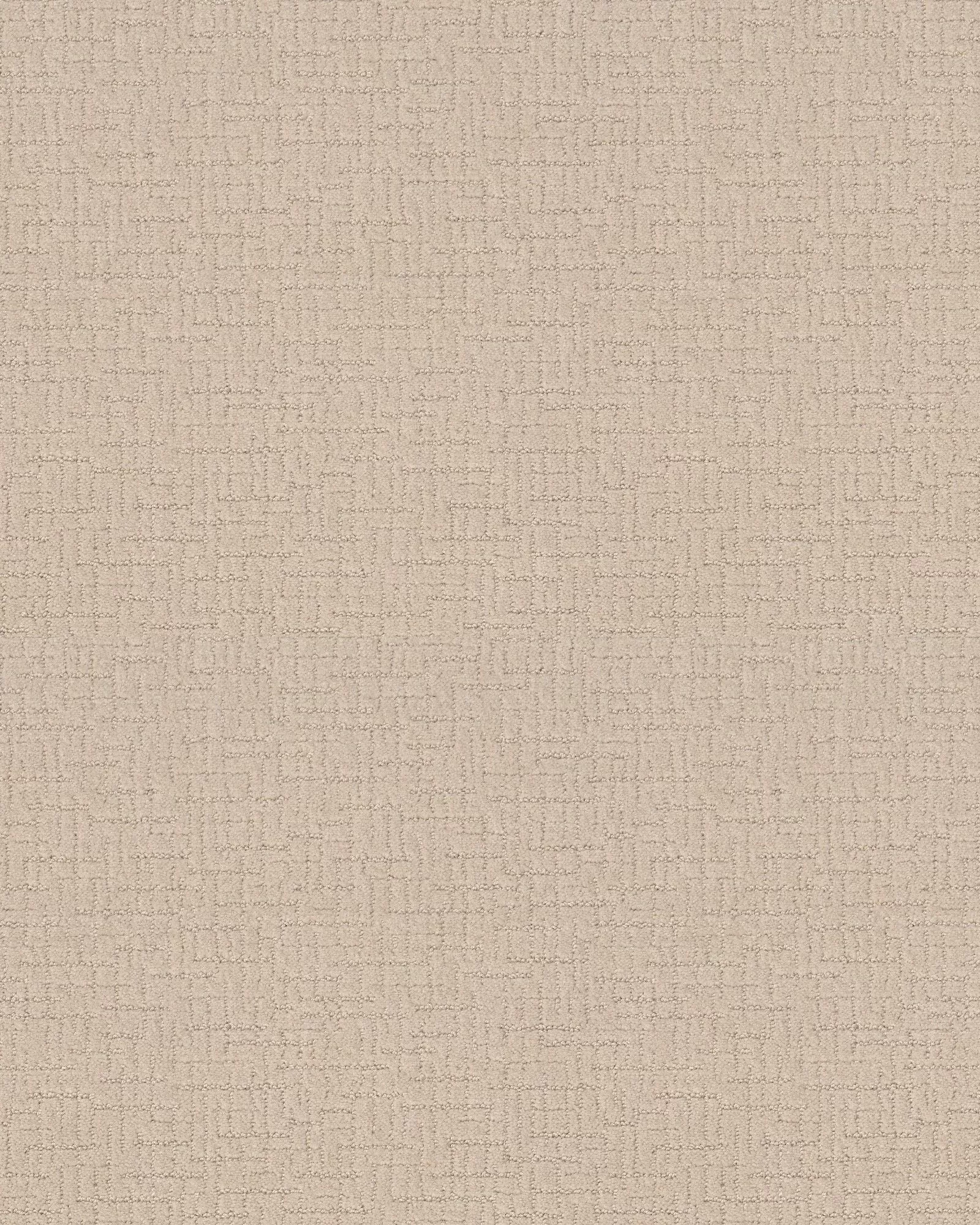 Anderson Tuftex ZZ233 One More Hour | Carpet Exchange
