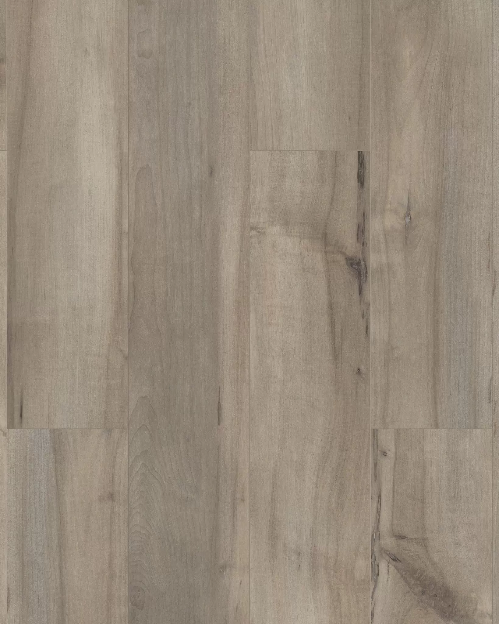Shaw Paladin Plus Sea Glass Luxury Vinyl | Carpet Exchange