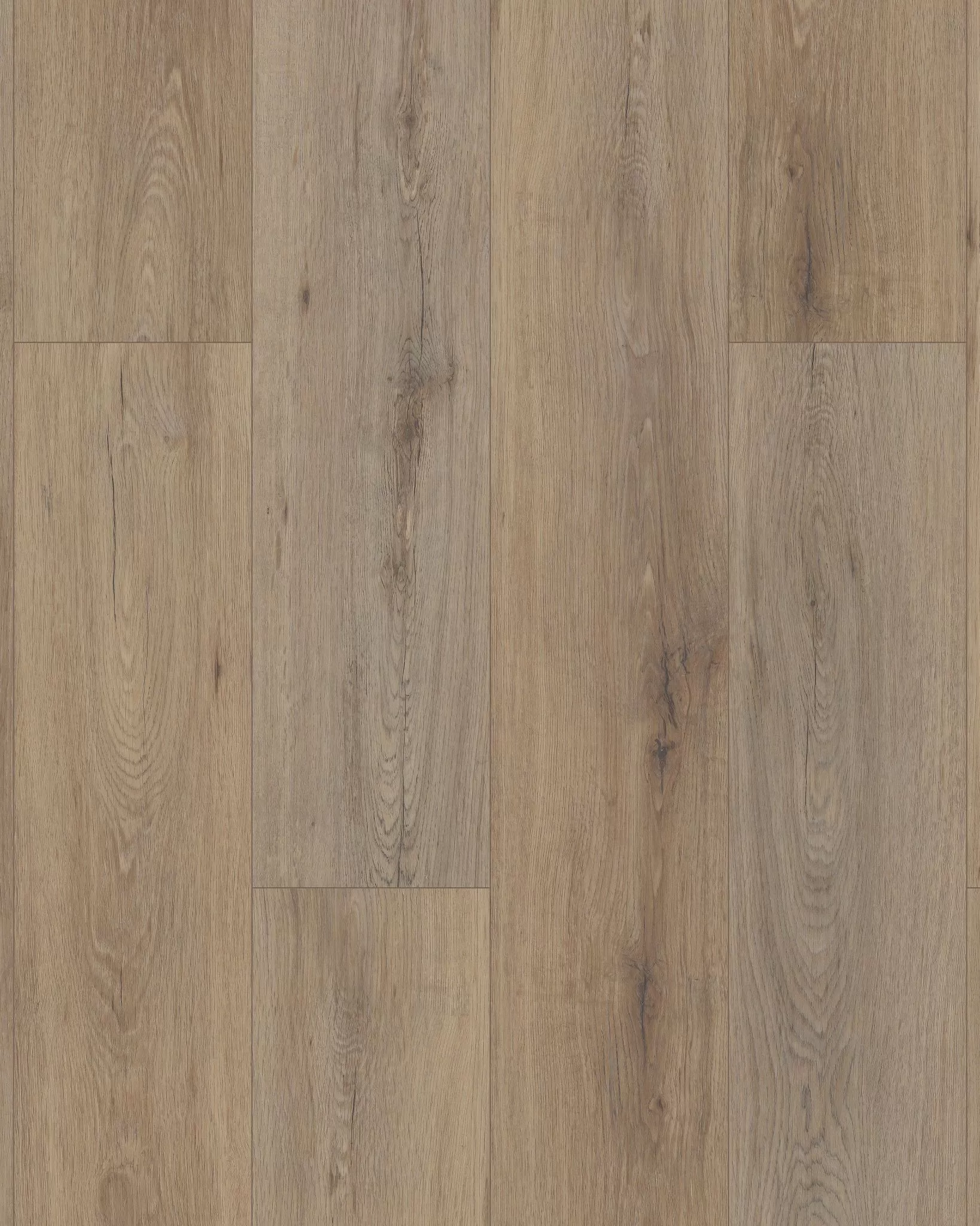 Shaw Paladin Plus Wild Dunes Luxury Vinyl | Carpet Exchange