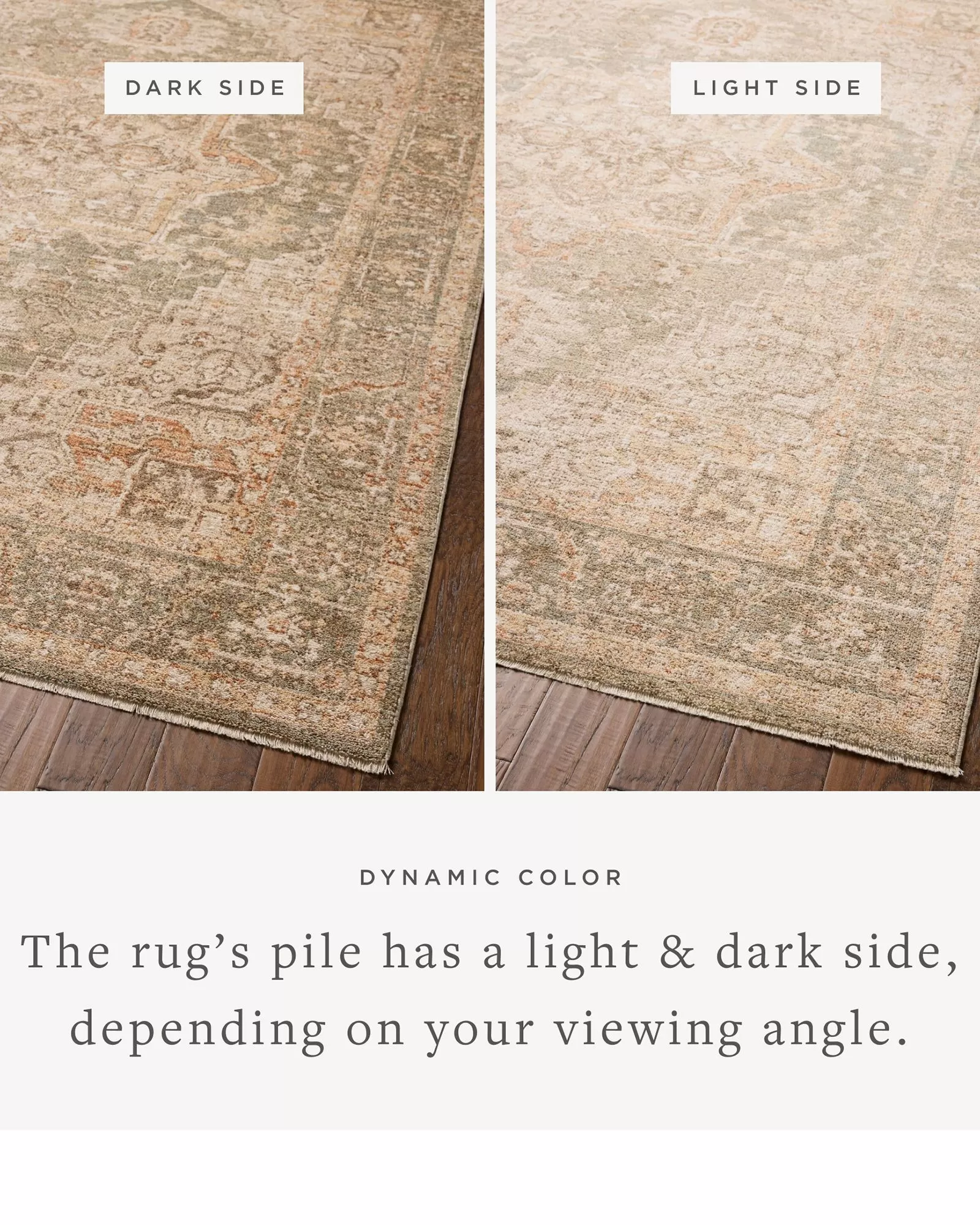 Loloi Palma PLM-08 Olive/Spice Area Rug | Carpet Exchange Loloi Palma PLM-08 Olive/Spice Area Rug | Carpet Exchange