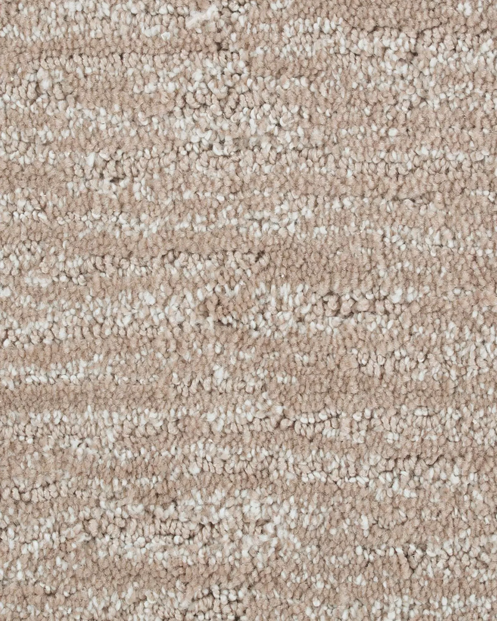 Rich Desire Spiced Tea Carpet