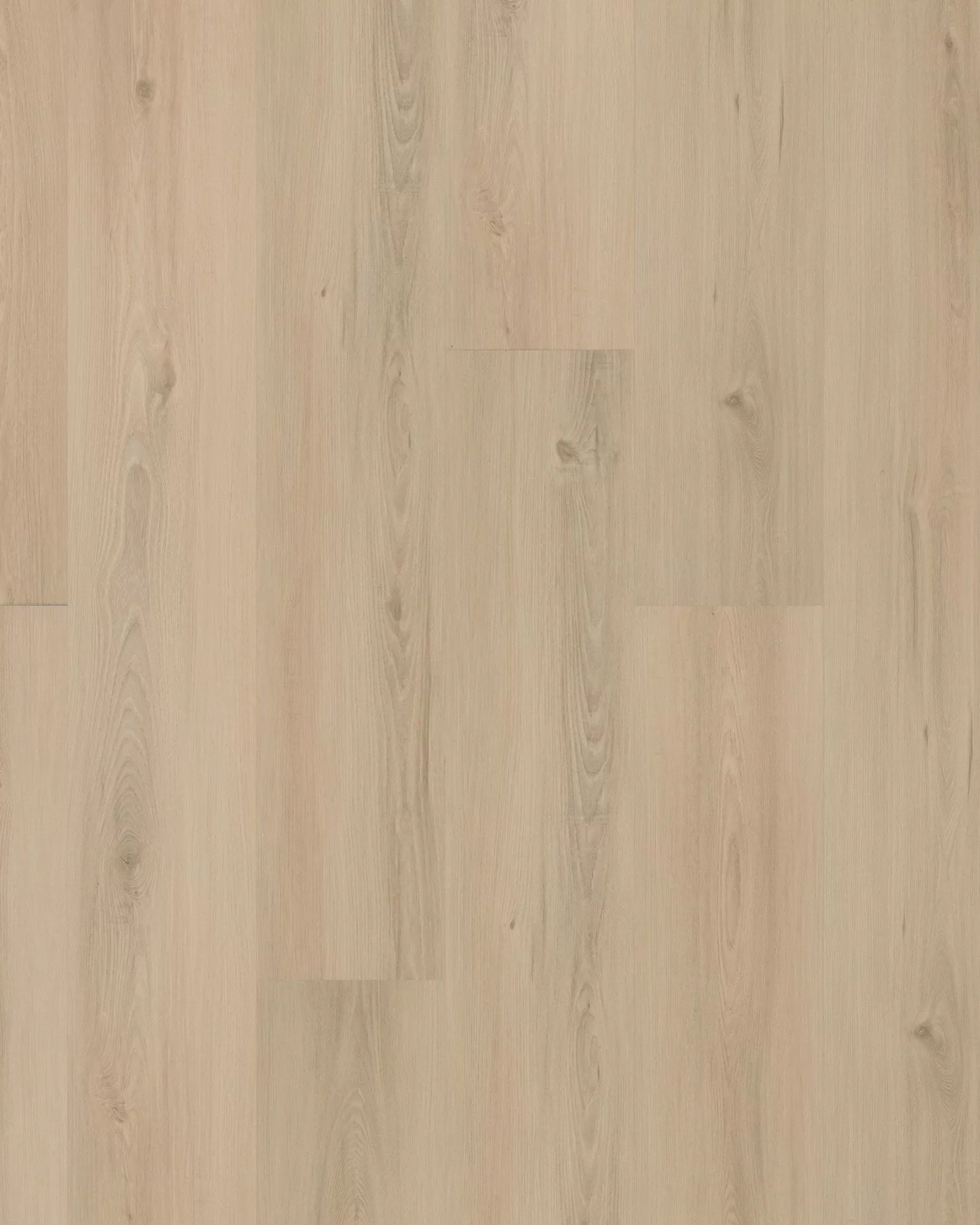 Eastbrook Shoals Constance Luxury Vinyl | Carpet Exchange