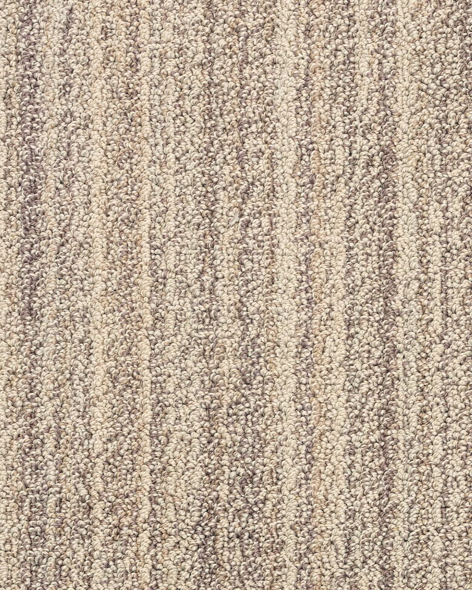 Sundance Wild Oats Carpet