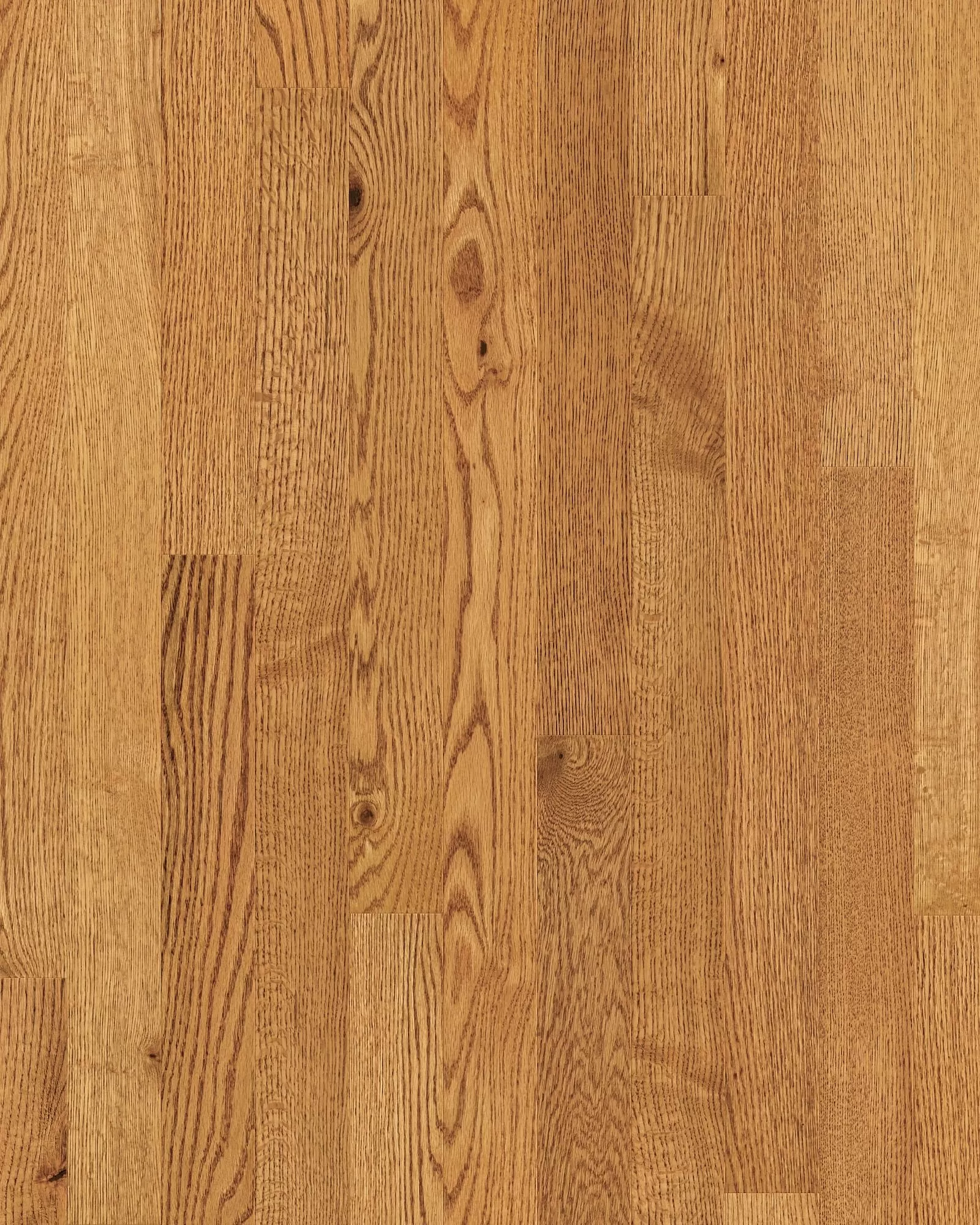Shaw Lineage Red Oak 3