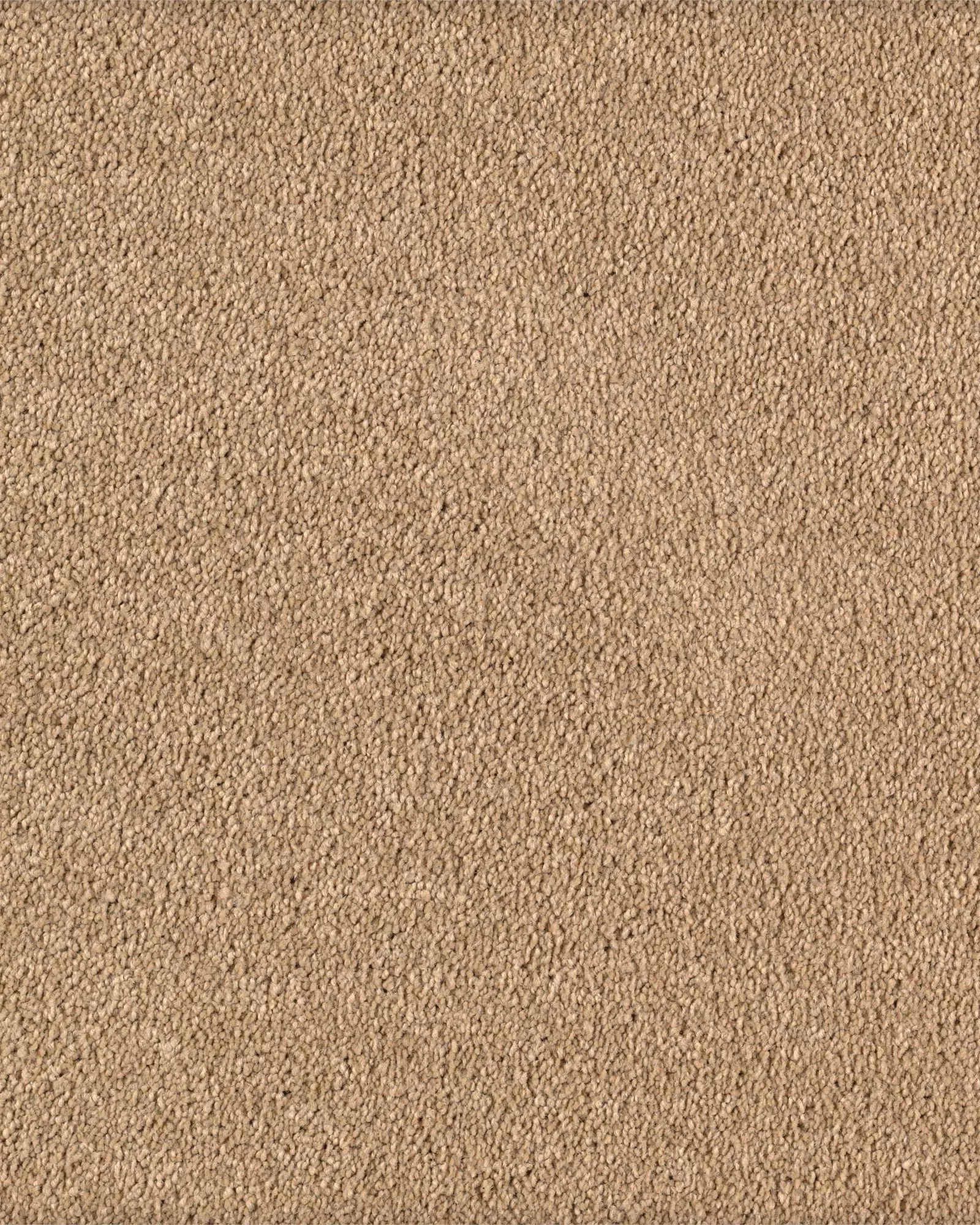 Karastan K8879 Kashmere Tranquil Bliss | Carpet Exchange