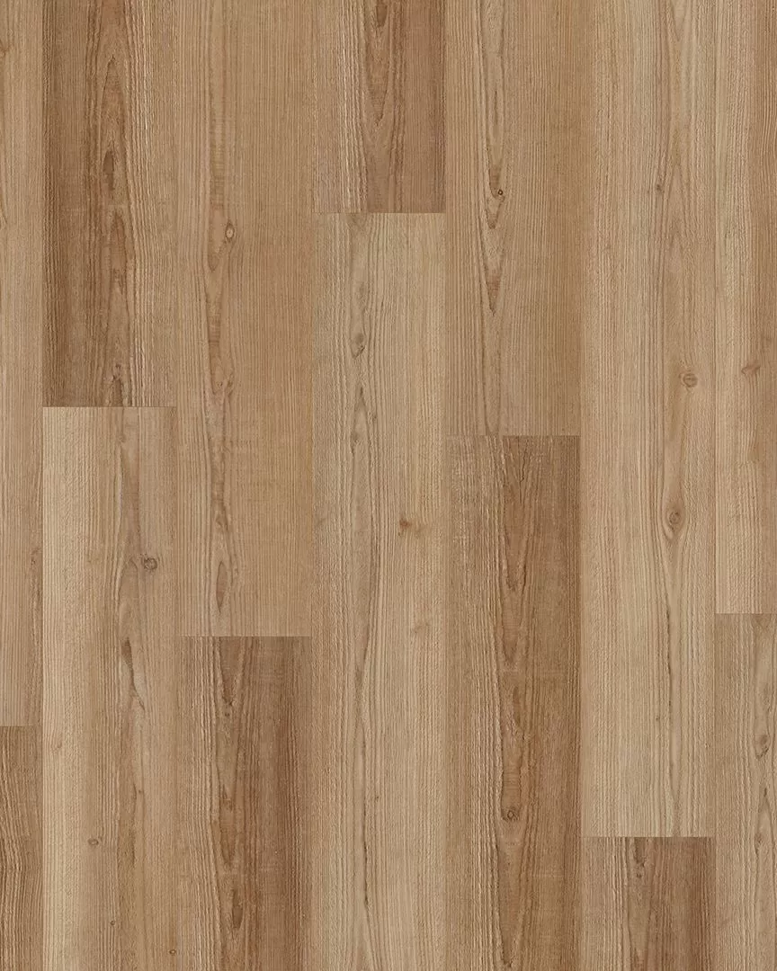 Coretec Andromeda Pine - Luxury Vinyl | Carpet Exchange