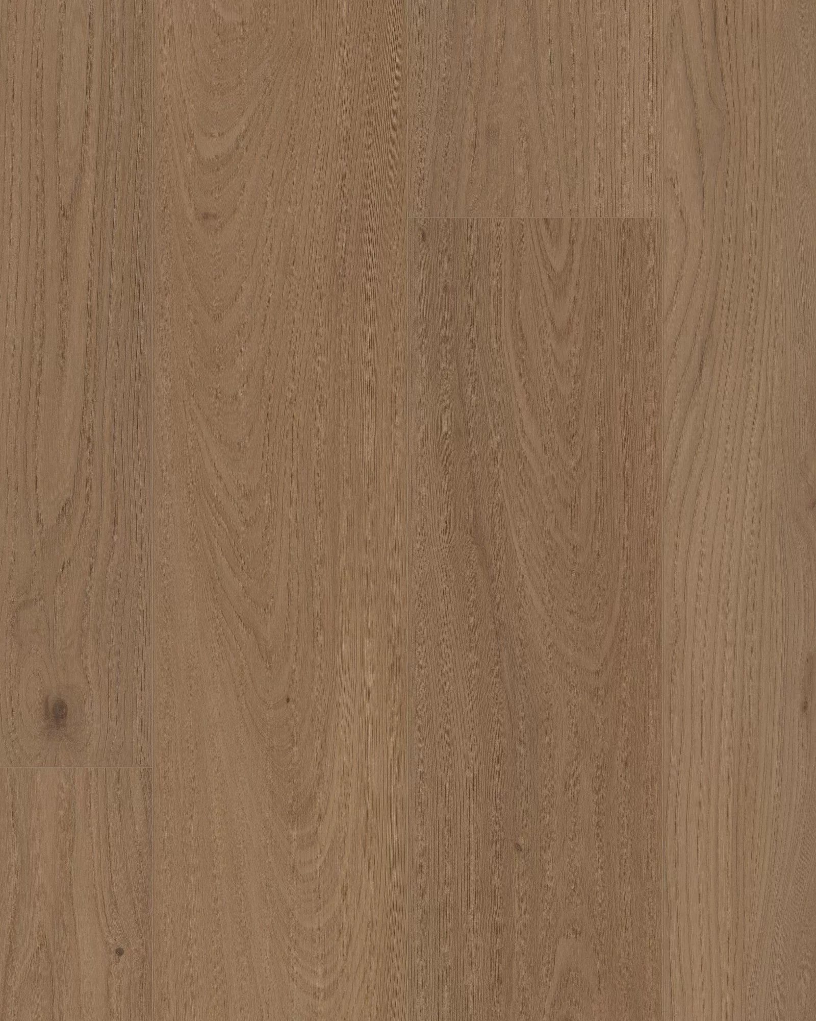 Coretec Pro Plus XL Enhanced San Marino Elm