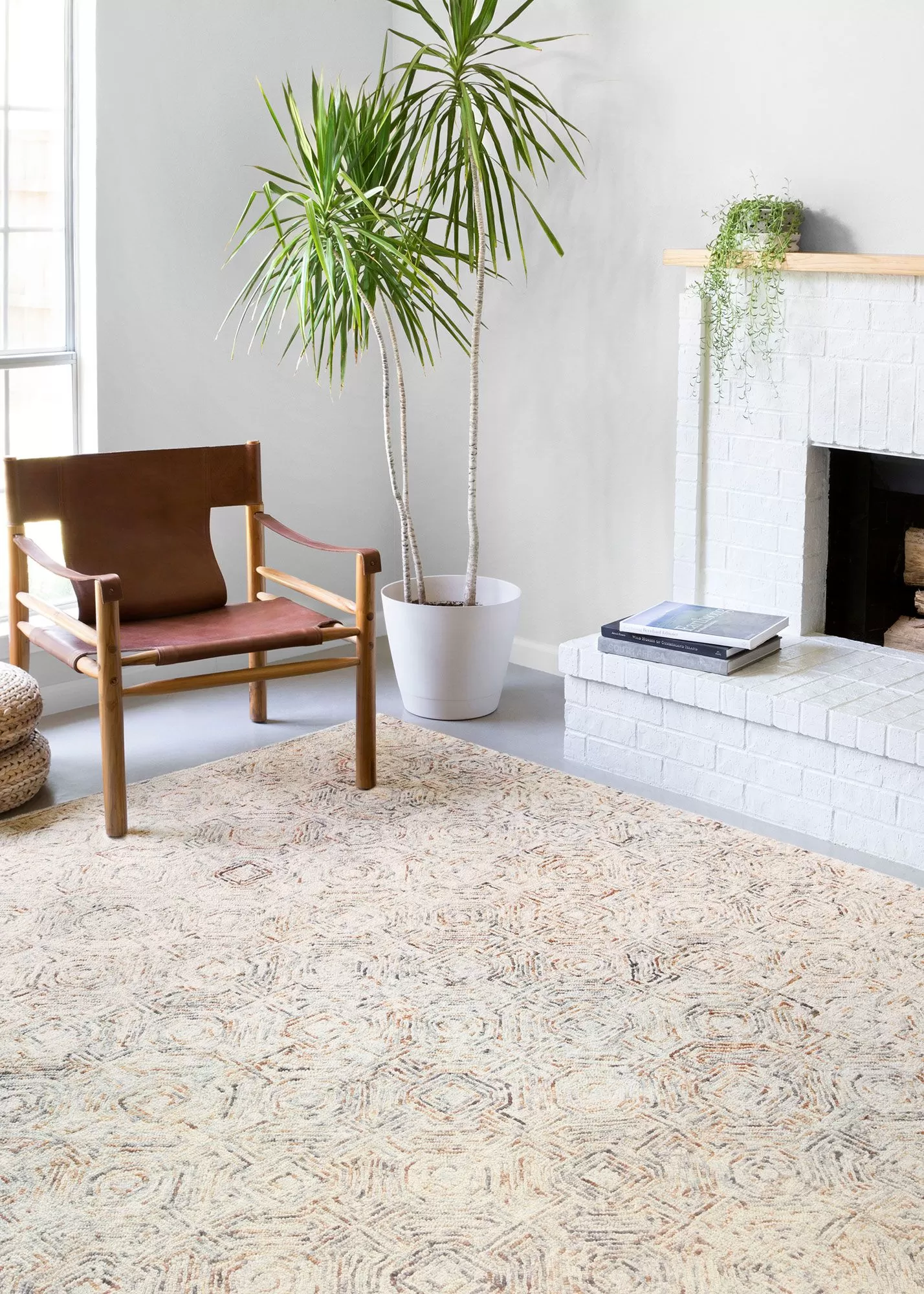 Loloi Ziva ZV-02 Multi Area Rug | Carpet Exchange