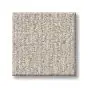 Gifted Allure Subtle Clay Textured 25oz Carpet