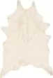 Grand Canyon GC-10 Ivory 6'2"x8' Area Rug