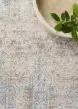 Pandora PAN-02 Ivory/Mist Area Rug