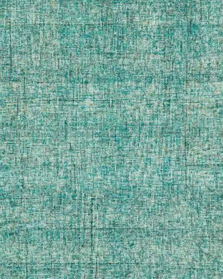 Calisa CS5 Turquoise Area Rug