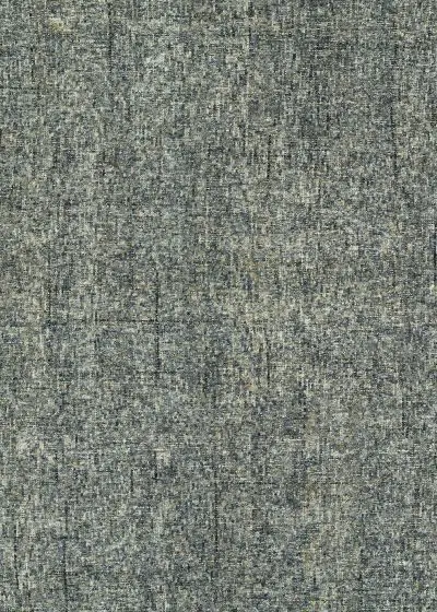 Calisa CS5 Lakeview Area Rug