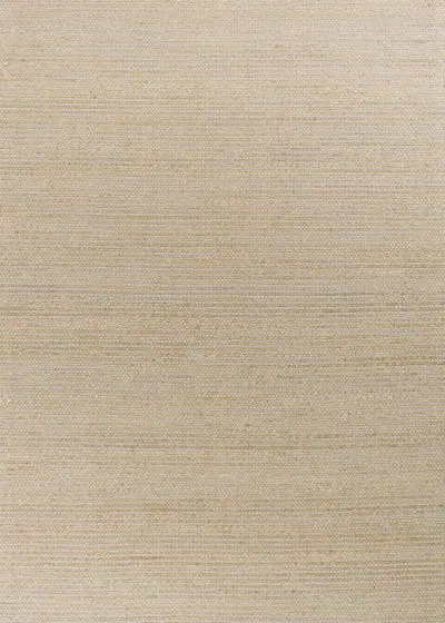 Mason 391 Grey Area Rug