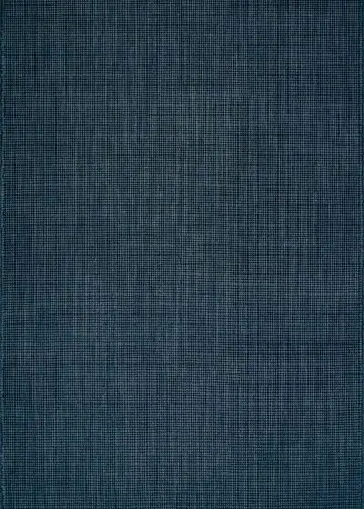 Monaco Sisal MC300 Navy Area Rug