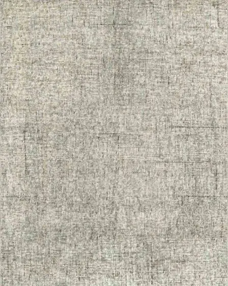 Calisa CS5 Fog Area Rug