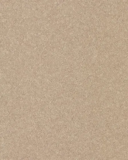 Quality Life Textured SmartStrand 55oz Carpet