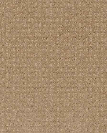 Quality Space SmartStrand 40oz Carpet
