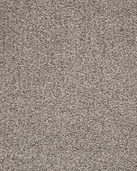 Luxuriant Space Textured SmartStrand 40oz Carpet