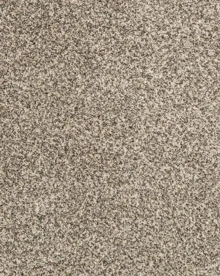 Canine Chic Pet Friendly EverStrand Carpet