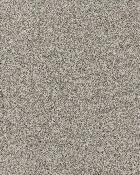 Warm Comfort Textured Smartstrand 40oz Carpet