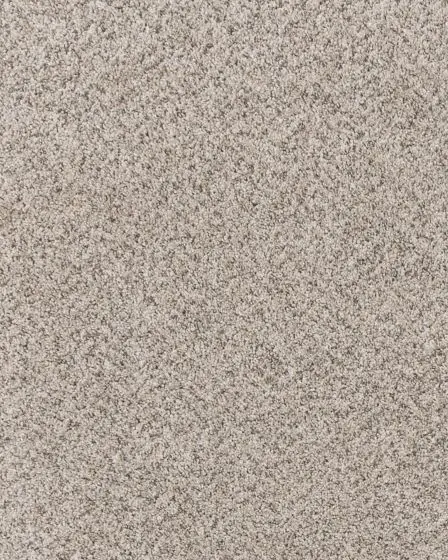 Cherished One Pet Friendly 85oz Carpet