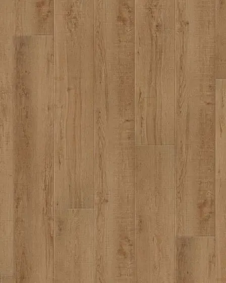 COREtec Plus XL Enhanced Waddington Oak Luxury Vinyl