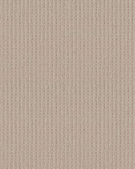 Framed View Patterned Polyester 25oz Carpet