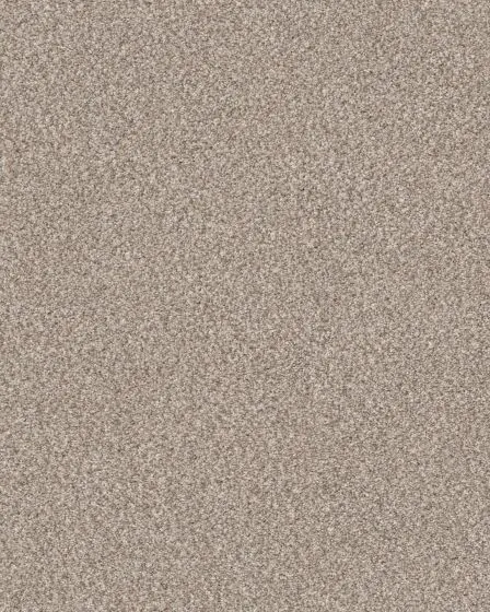 Truspirit II Textured 100% Polyester 58oz Carpet